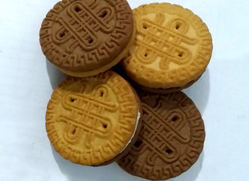 بیسکویت سکه‌ای کرمدار